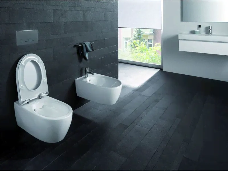 Подвесной унитаз Geberit iCon 204060000 безободковый-1